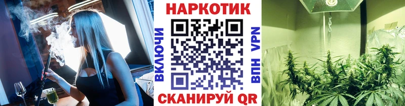 ГАШ Пенза