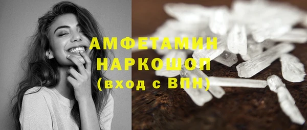 дживик Гусь-Хрустальный