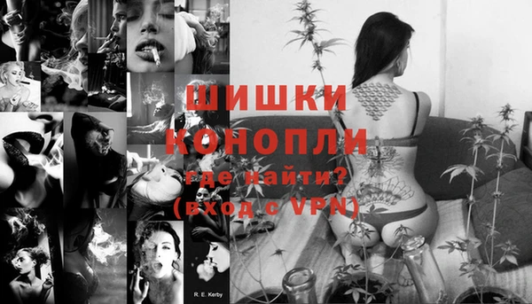 дживик Гусь-Хрустальный