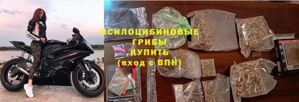 крисы Гусиноозёрск