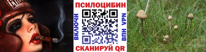 Купить где  Пенза  Галлюциногенные грибы мицелий 